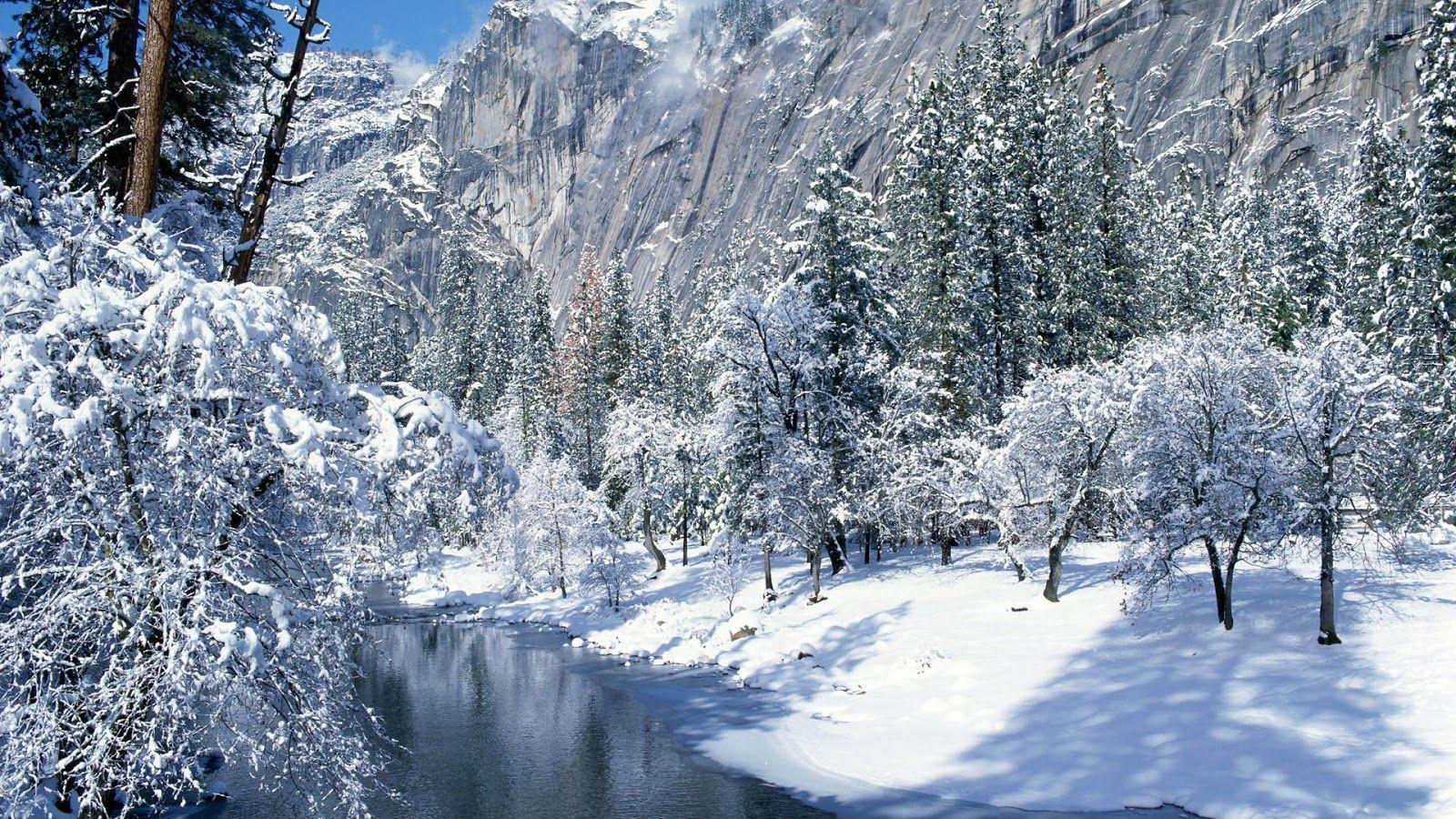 Beautiful Winter Wallpaper. Beauty of Winter season. Nature