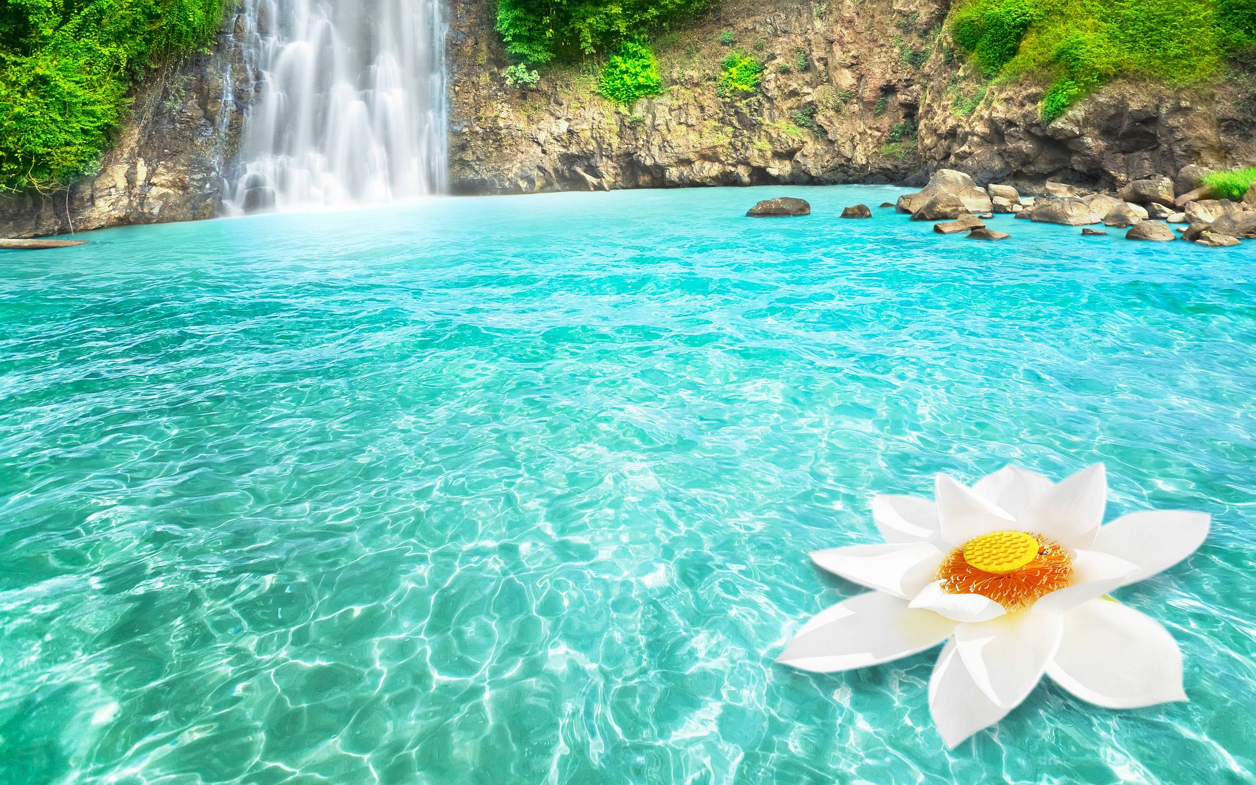 Flower And Waterfall Wallpaper