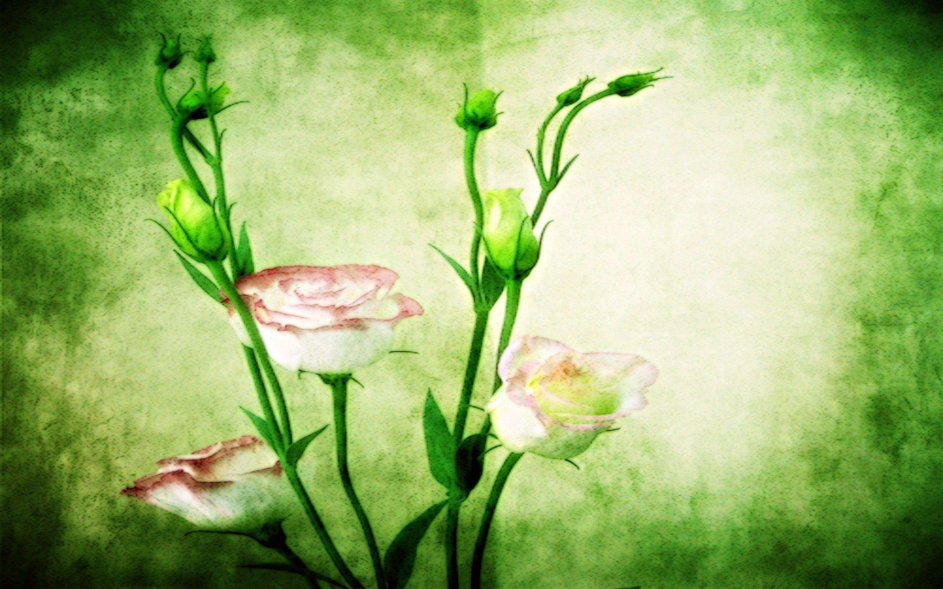 Sumer Wallpaper Full HD