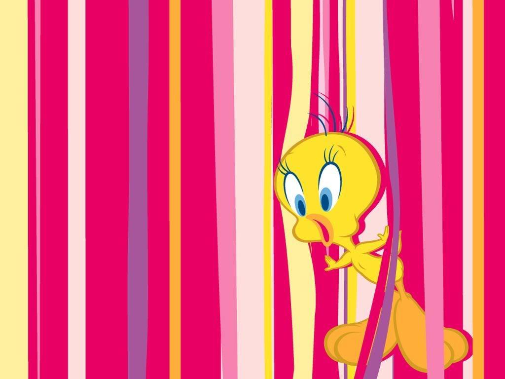 Tweety Image Of Looney Tunes Tweety Cartoon Wallpaper