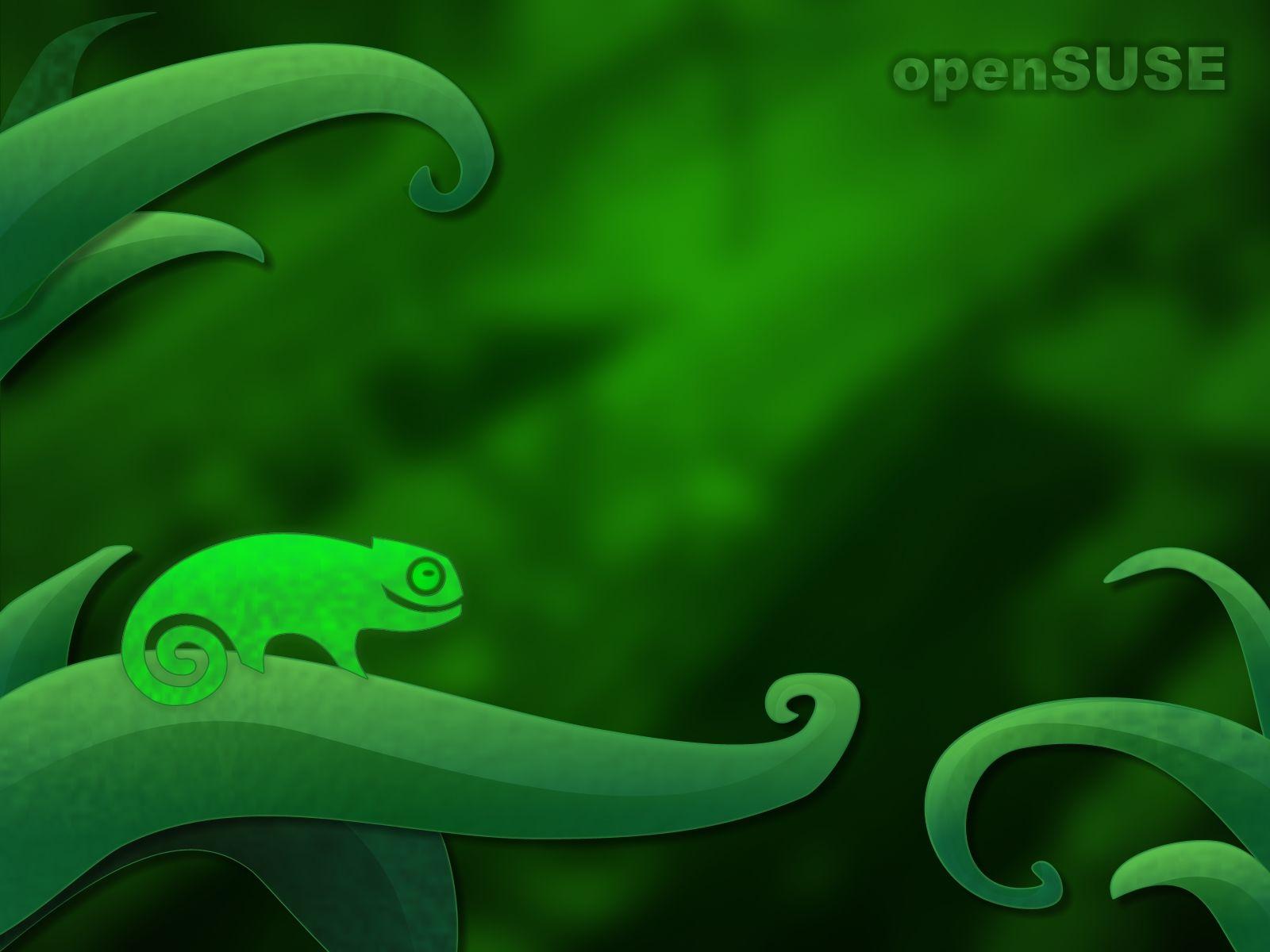Opensuse Wallpaper Grass Gpl Jungle Gnu Kde HD wallpaper #