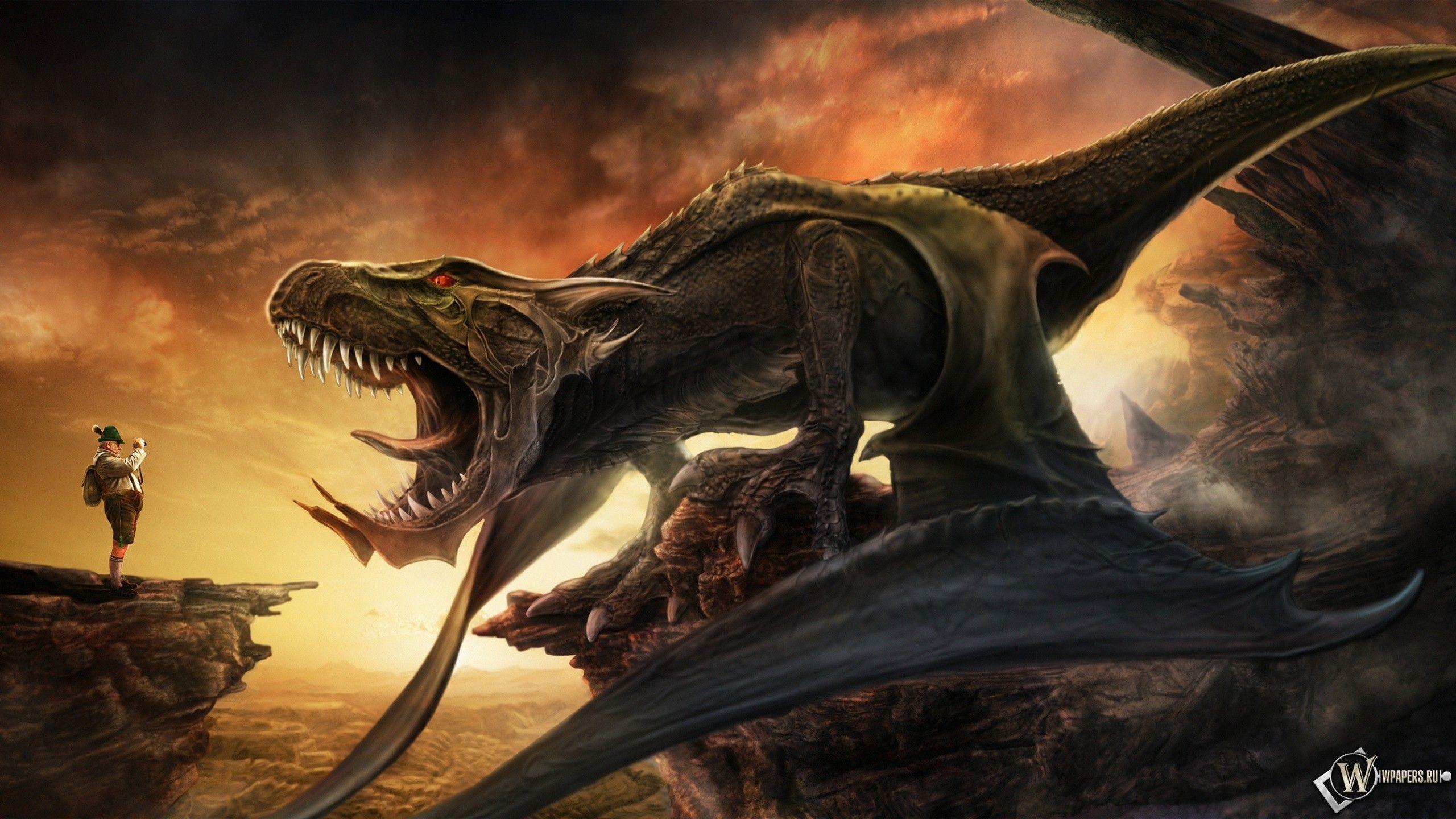 Download Dragons Tourism Wallpaper Wallpoper 2560x1440PX Eragon