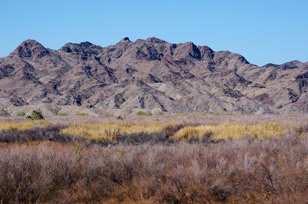 Panoramio of Imperial National Wildlife Refuge, Arizona
