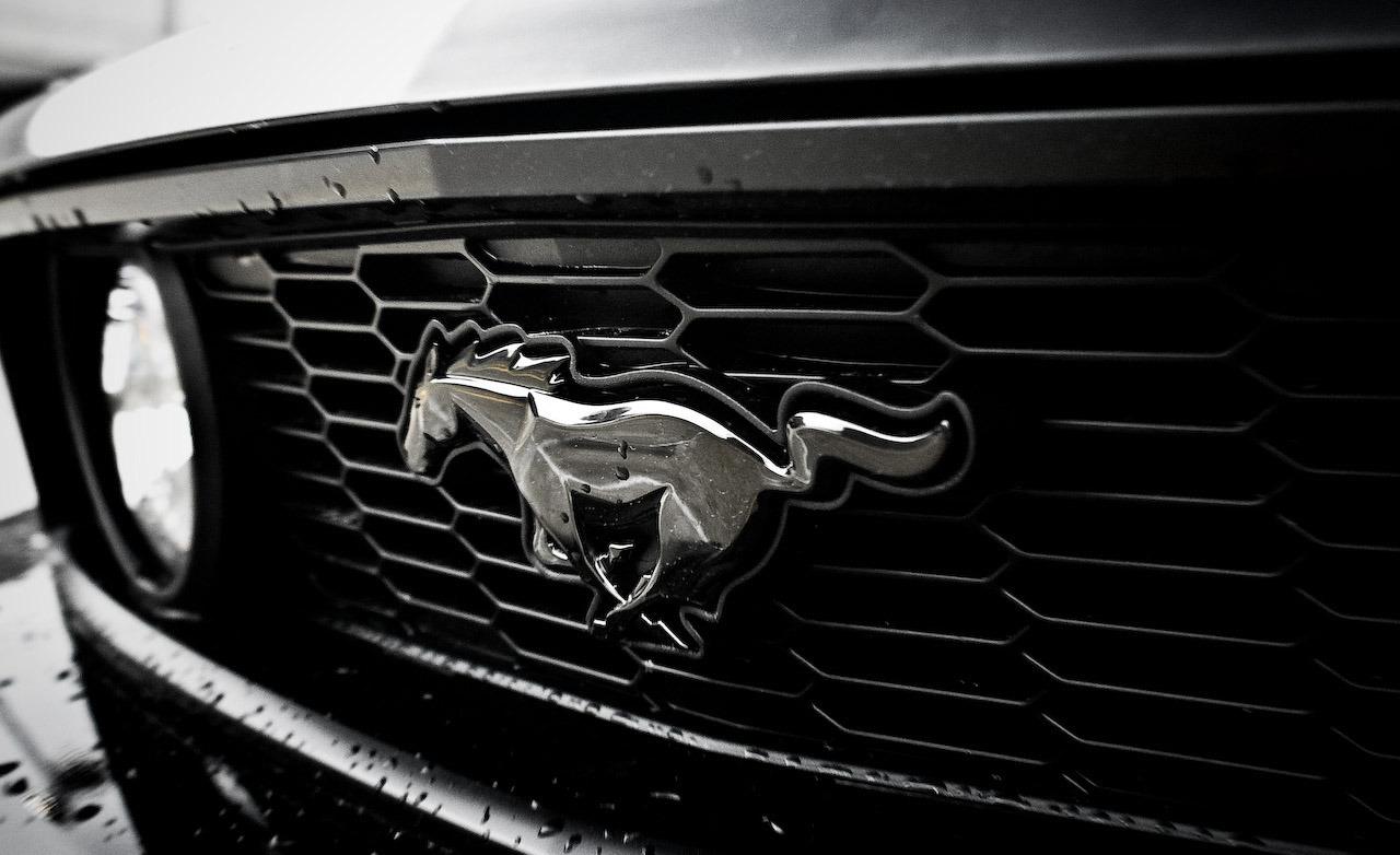Ford Mustang Logo Image Hd