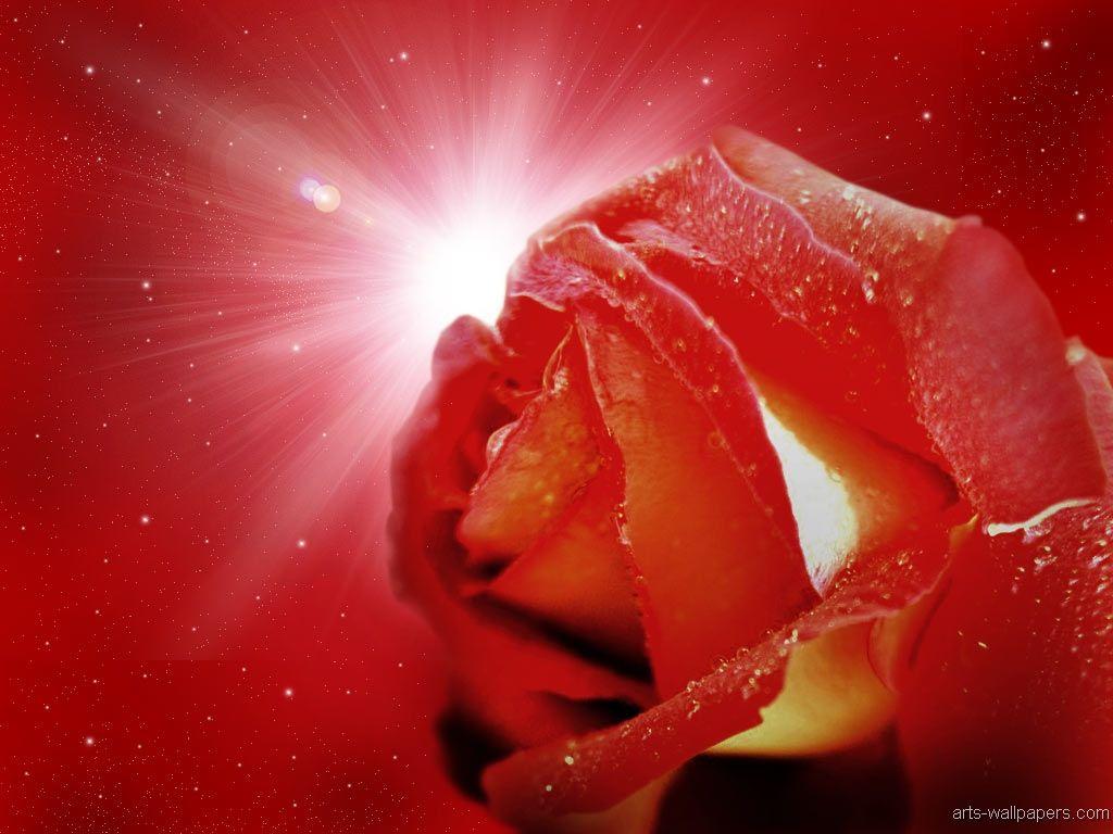 Love Kiss Wallpaper and Background