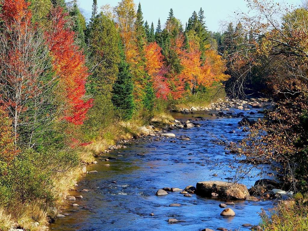 Free Fall Background Wallpaper and Background