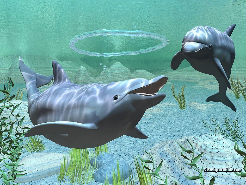 3D Dolphin Desktop Wallpaper Wallpaper Inn