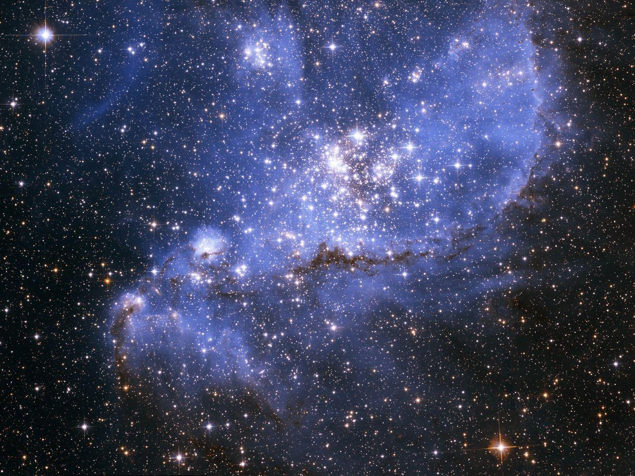 Nebula. Fascinatingly kids, dinosaurs, optical illusions & HD