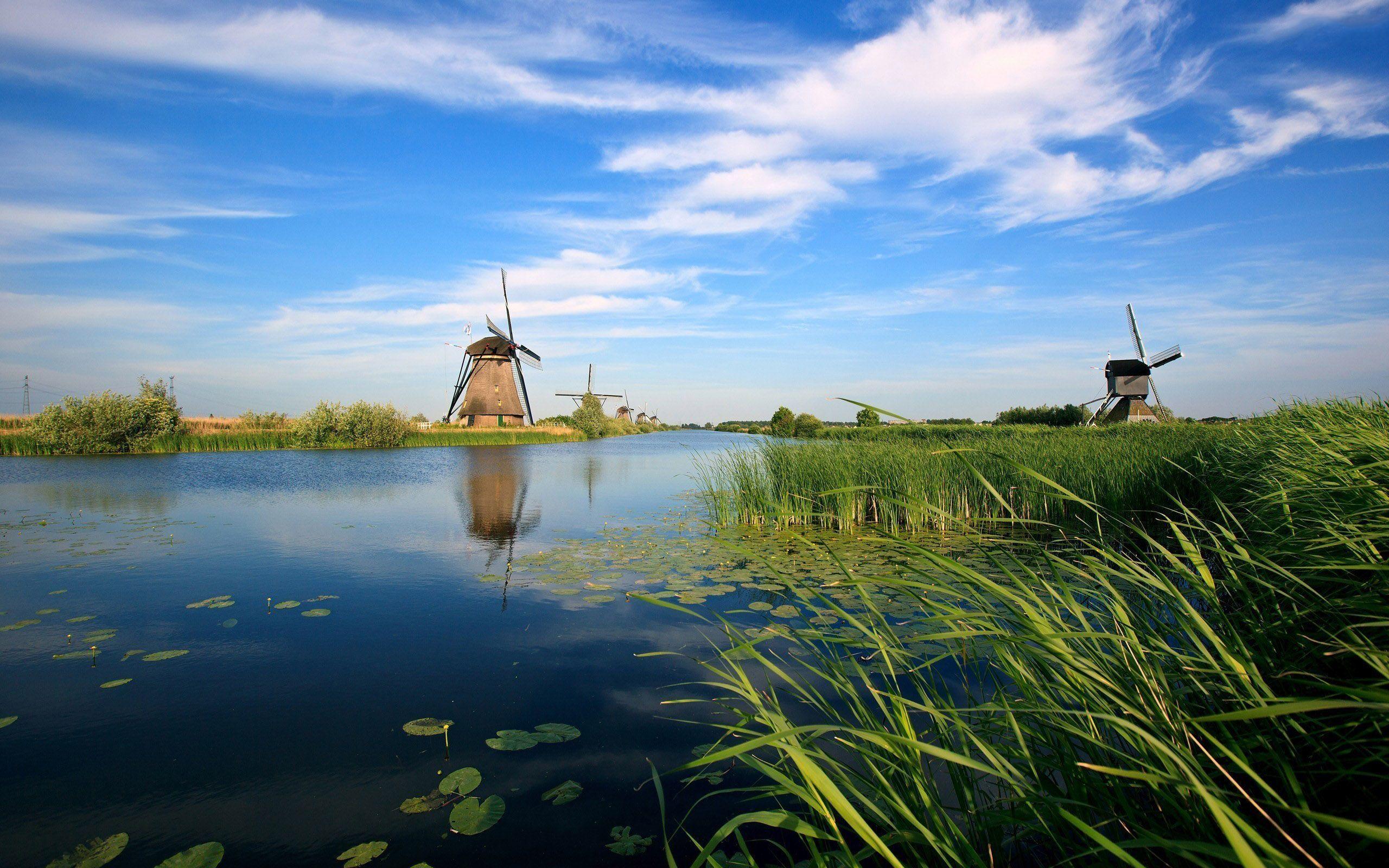 Lily Pond And Windmills Wallpaper Wide or HD