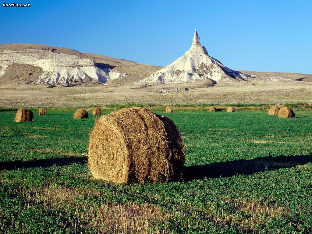 New Nature Wallpaper