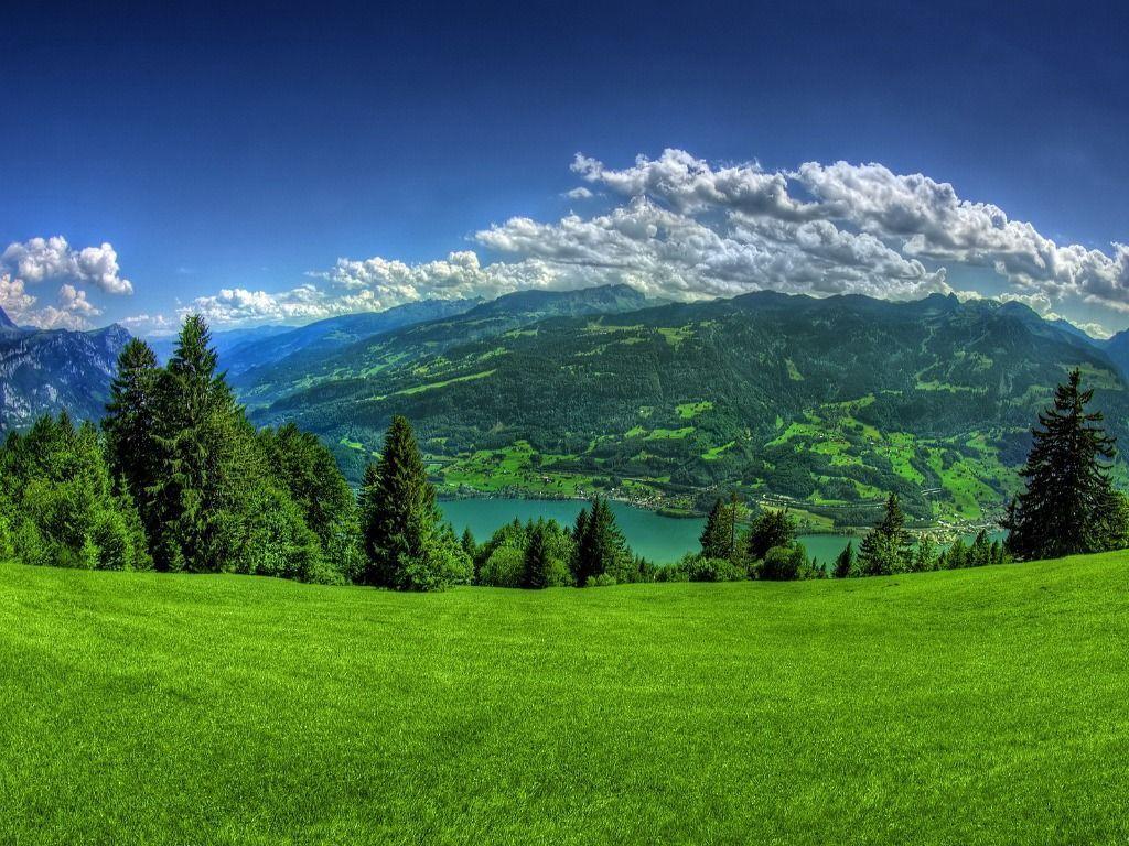 nature background picture. vergapipe