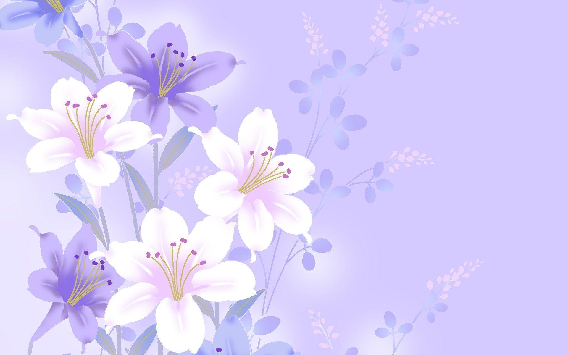 Purple Flower White Background wallpaper