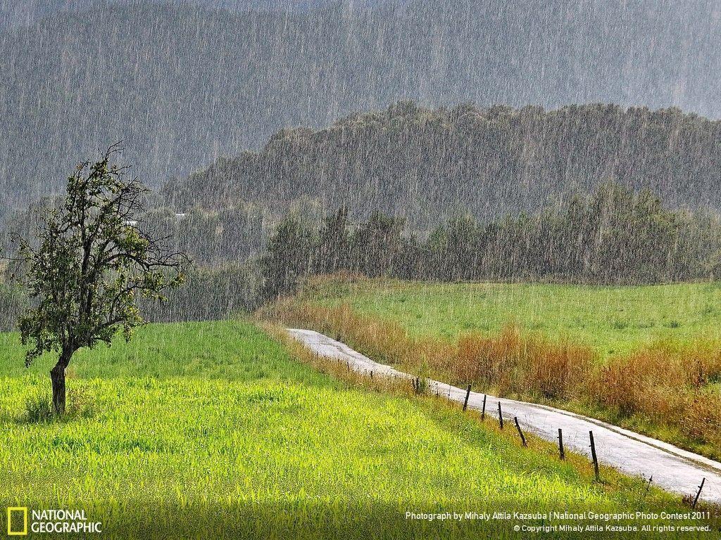 Landscape in the rain Geographic Photo Contest 2011
