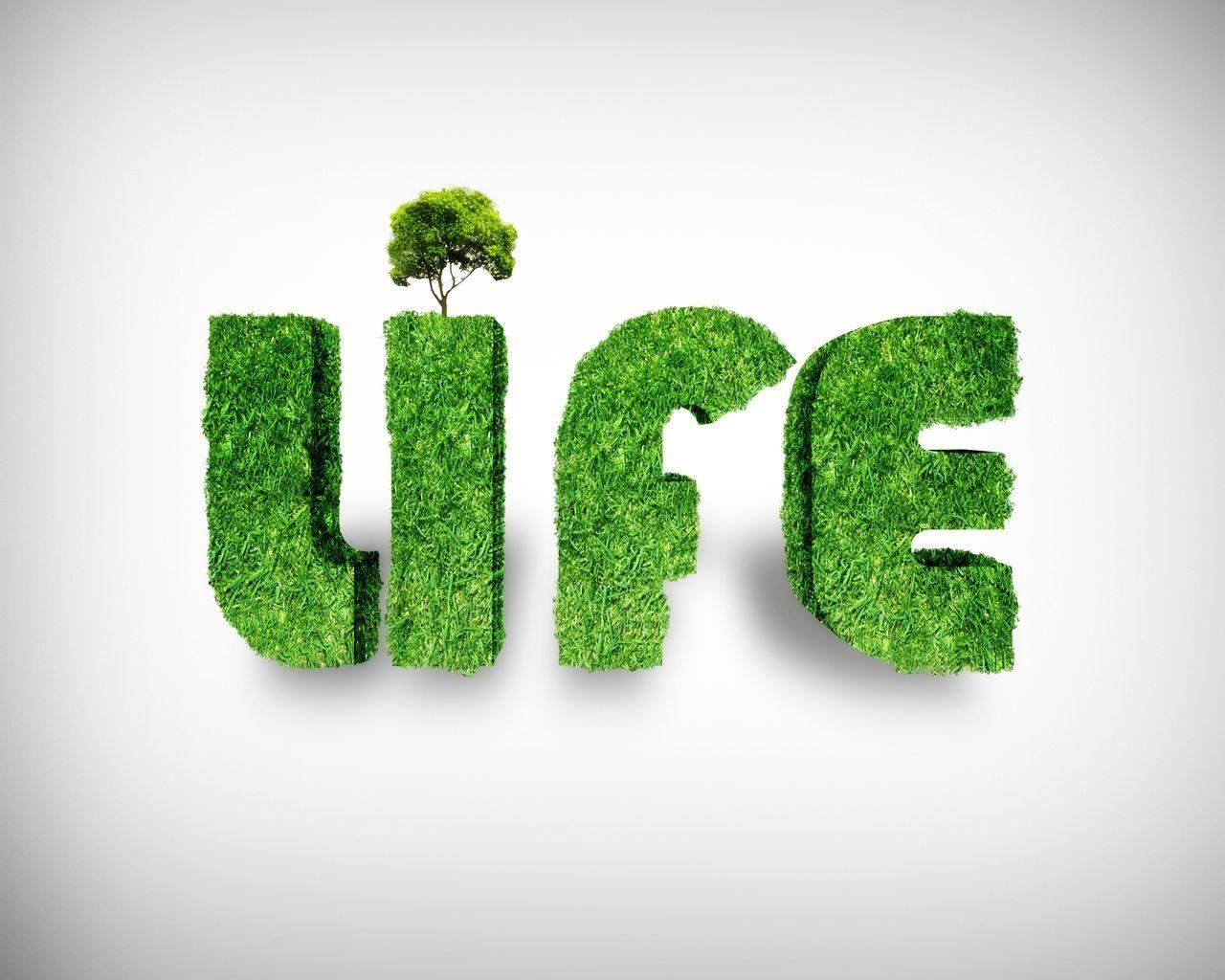 Go Green Wallpaper Desktop