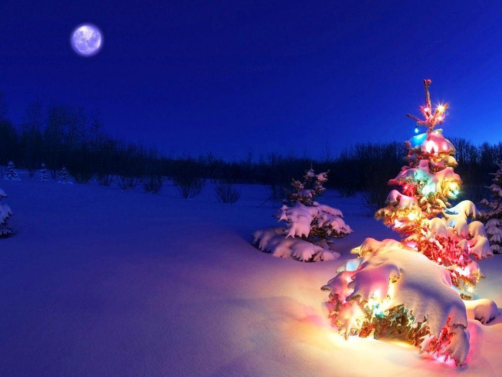 Free Download d christmas desktop background christmas trees