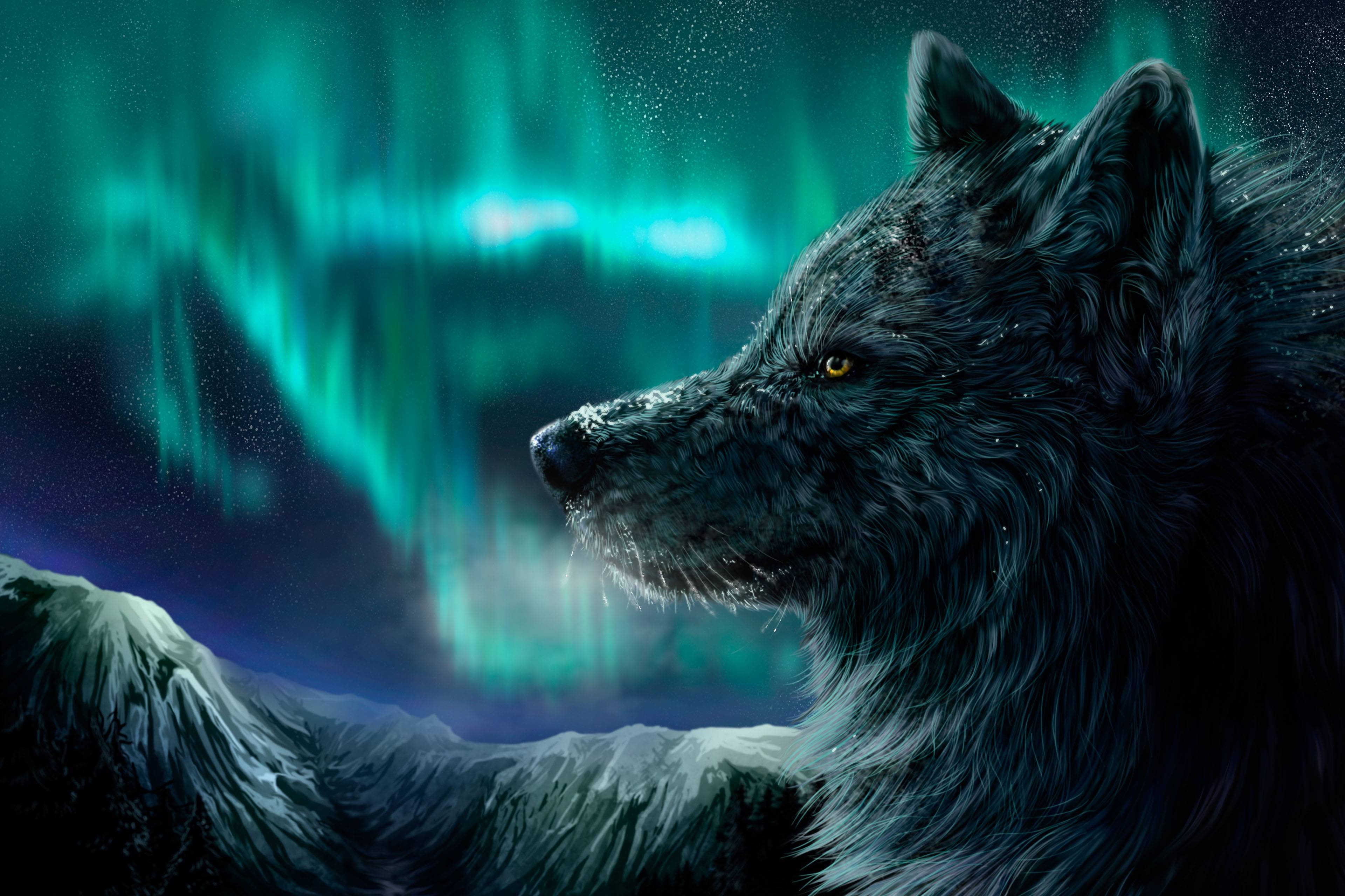 Wallpaper For > Northern Lights Wolf Wallpaper