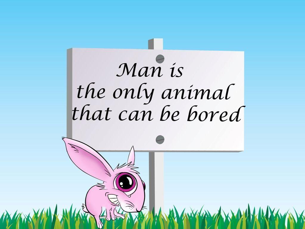 Funny Image of Animals with Sayings HD Wallpaper. Free Download