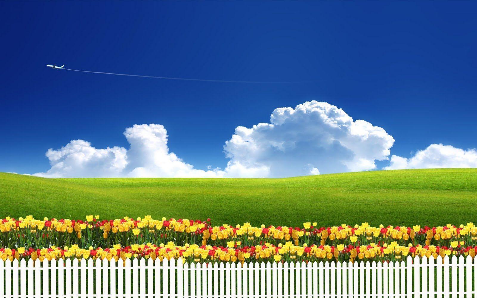 summer wallpaper for desktop