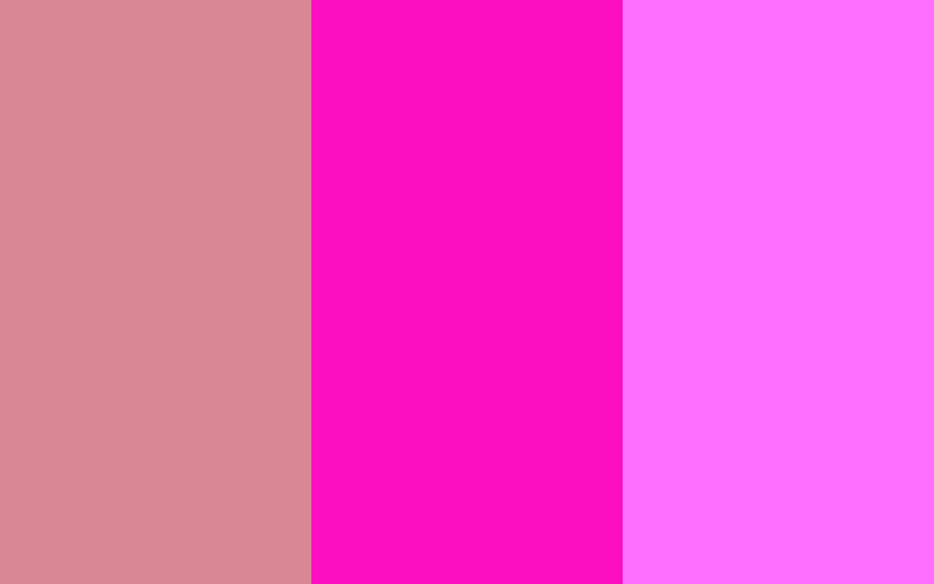 Shimmering Blush, Shocking Pink and Shocking Pink