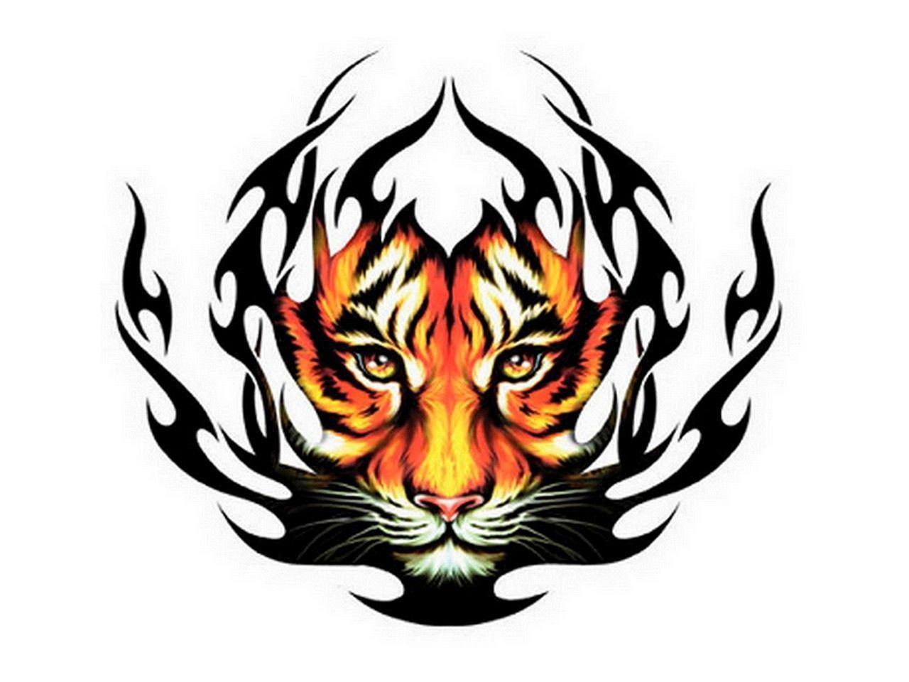 Image For > Tiger Face Design
