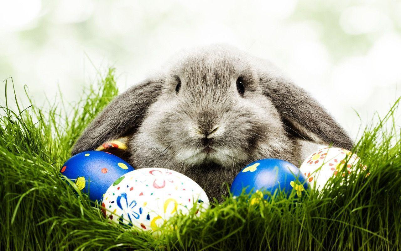 Desktop Background 4U: Easter