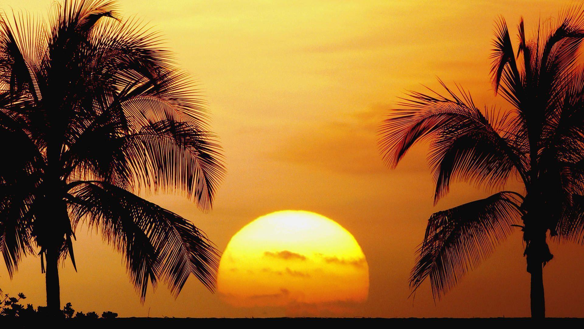 Picture Desktop Background Sunset Beach, Wallpaper, HD