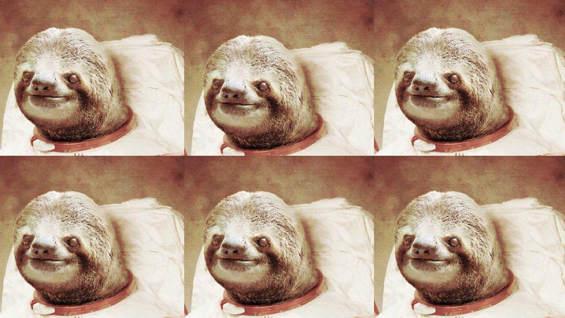 Captivating Sloth Astronaut Wallpaper 1920x1080PX Sloth