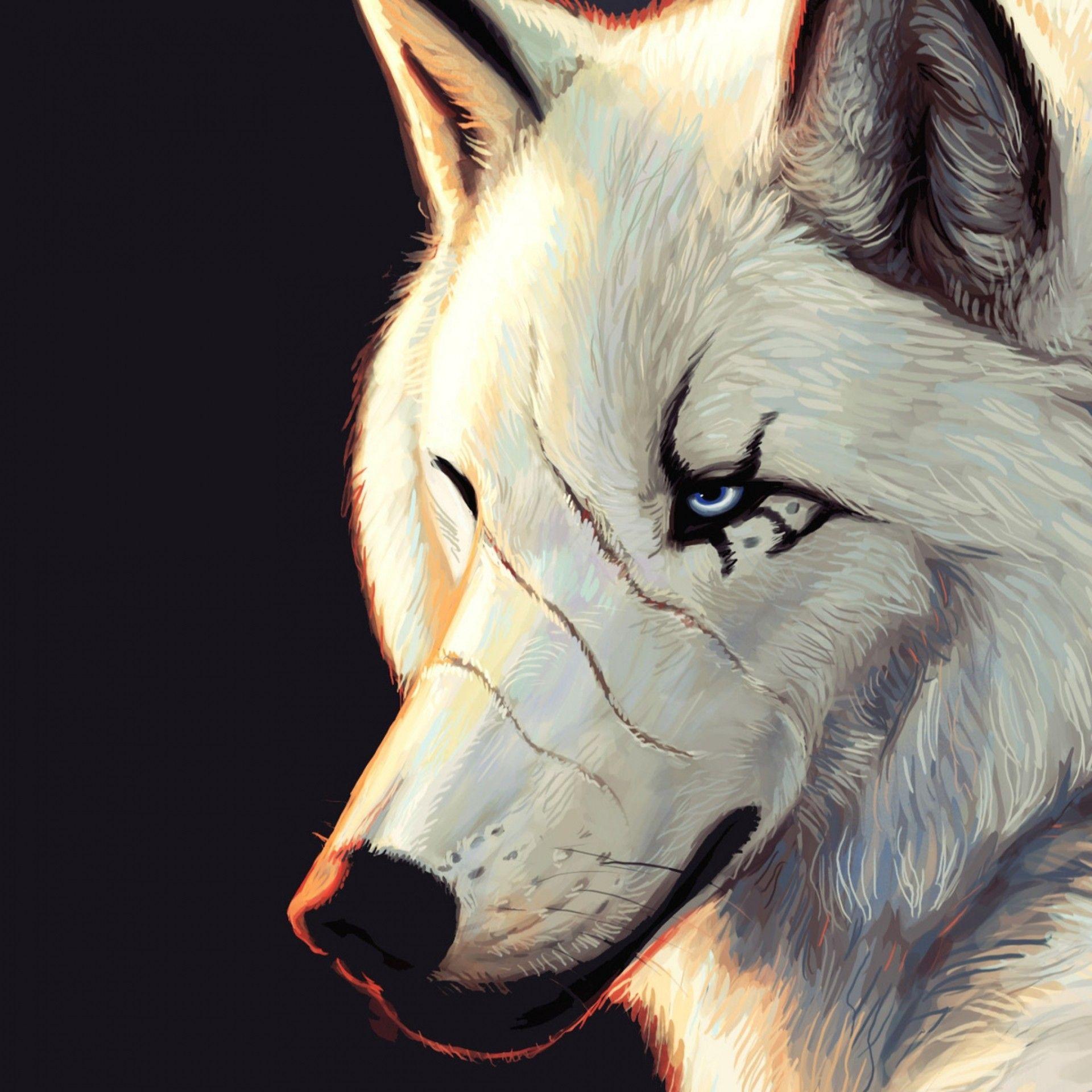 Animals For > Really Cool Wolf Wallpaper