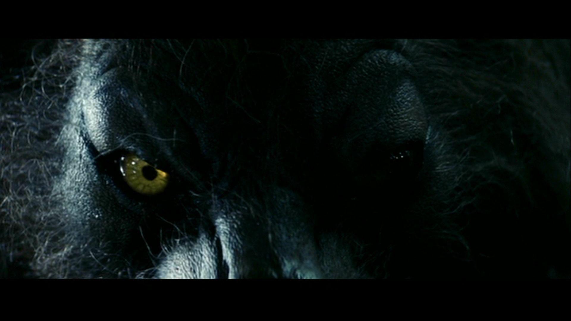 Werewolves Wallpaper HD