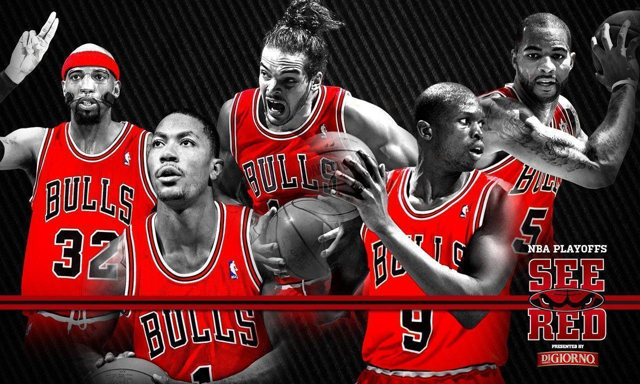 Chicago Bulls 2014 Roster