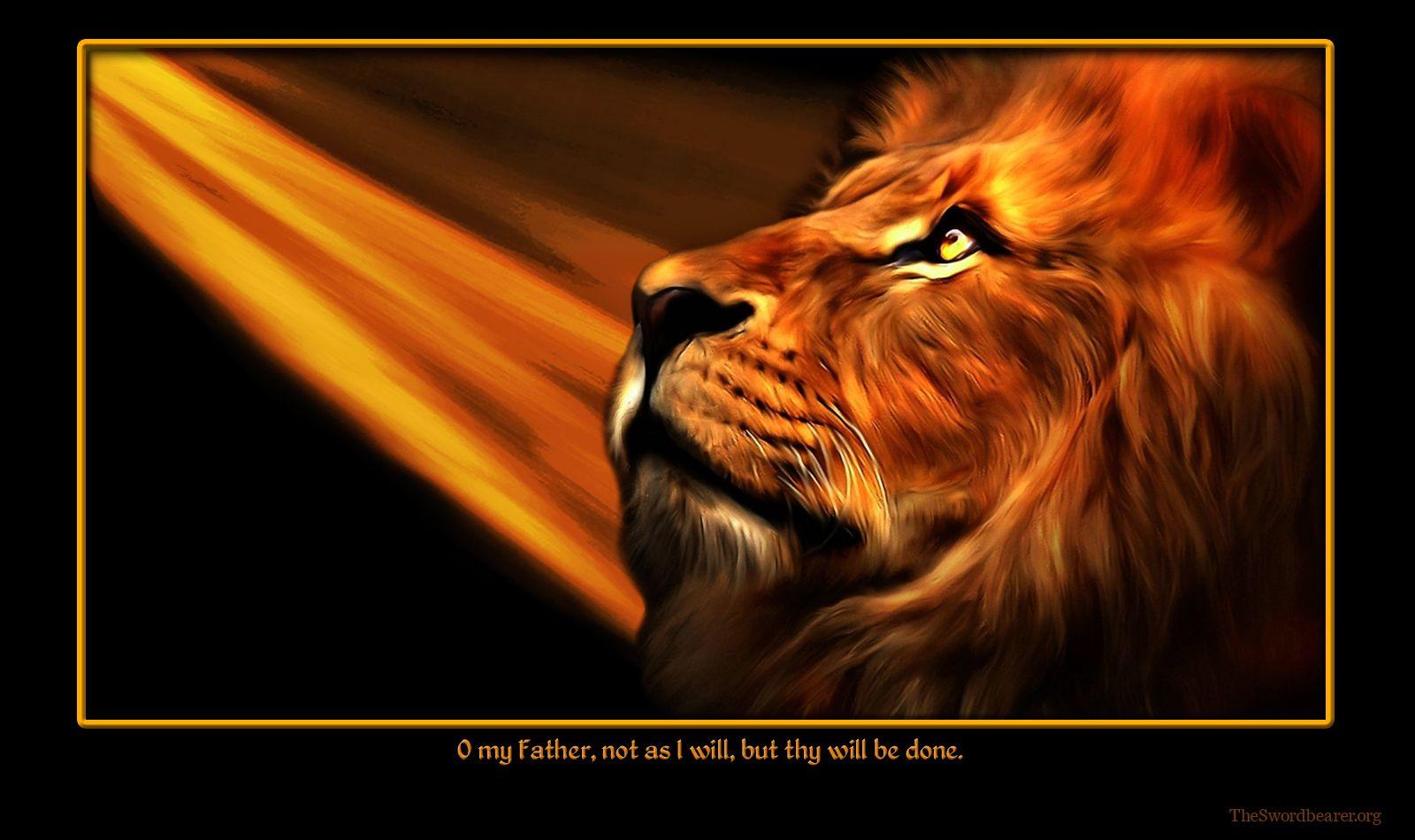 Lion Of The Tribe Of Judah Wallpaper