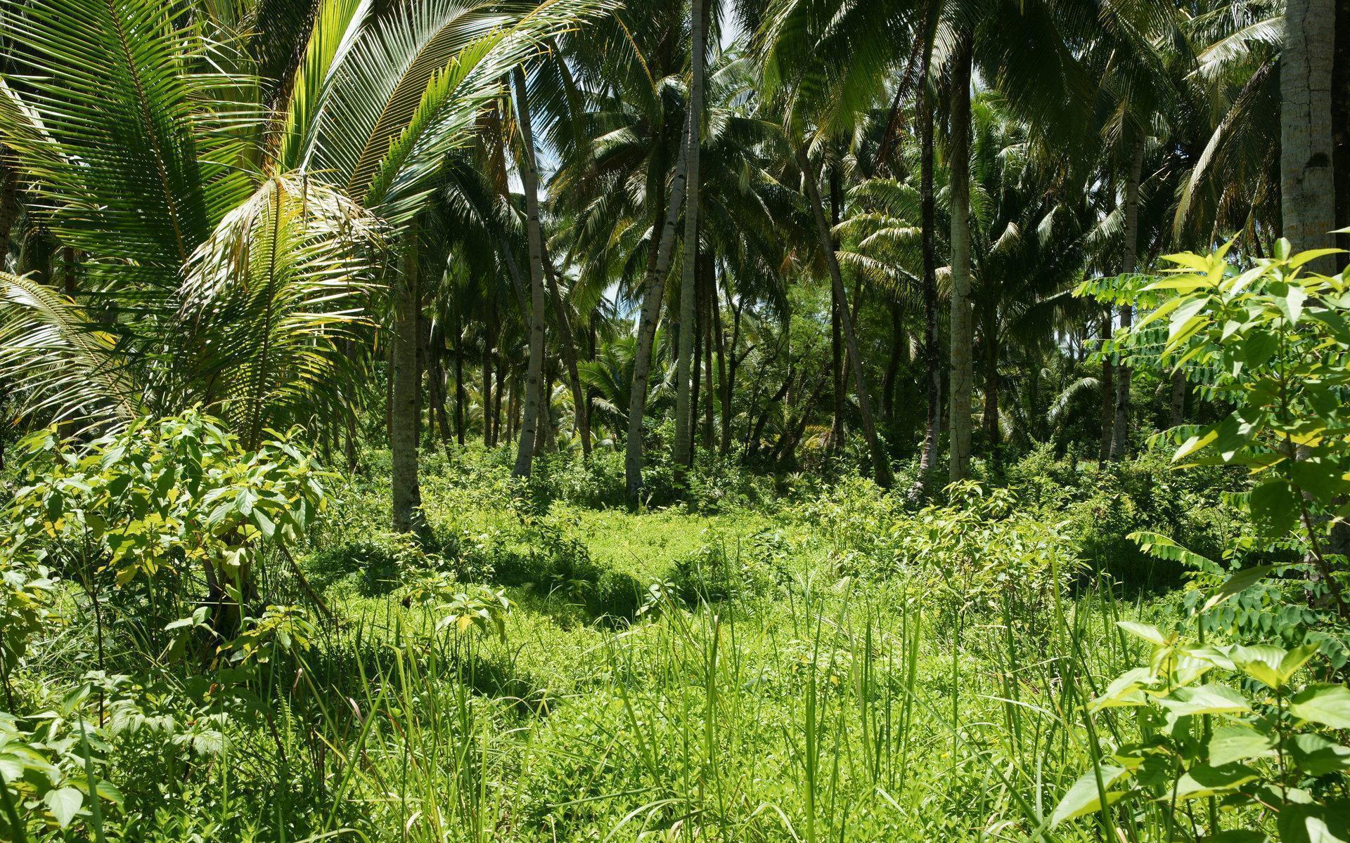 Wallpaper Background free 1920x1200 anothe