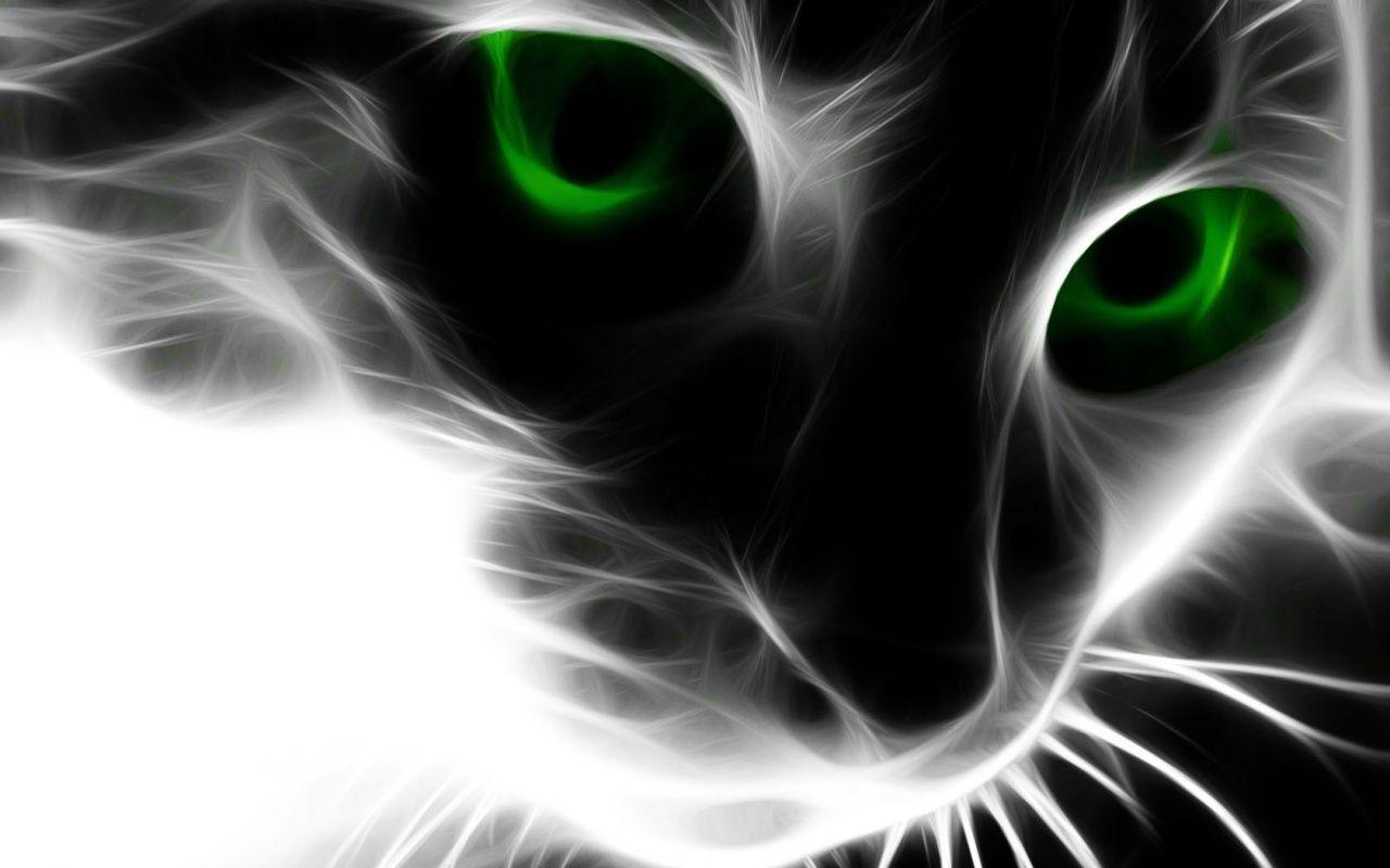 Black Cat with Green Eyes Wallpaper 1600x1000PX Wallpaper Green
