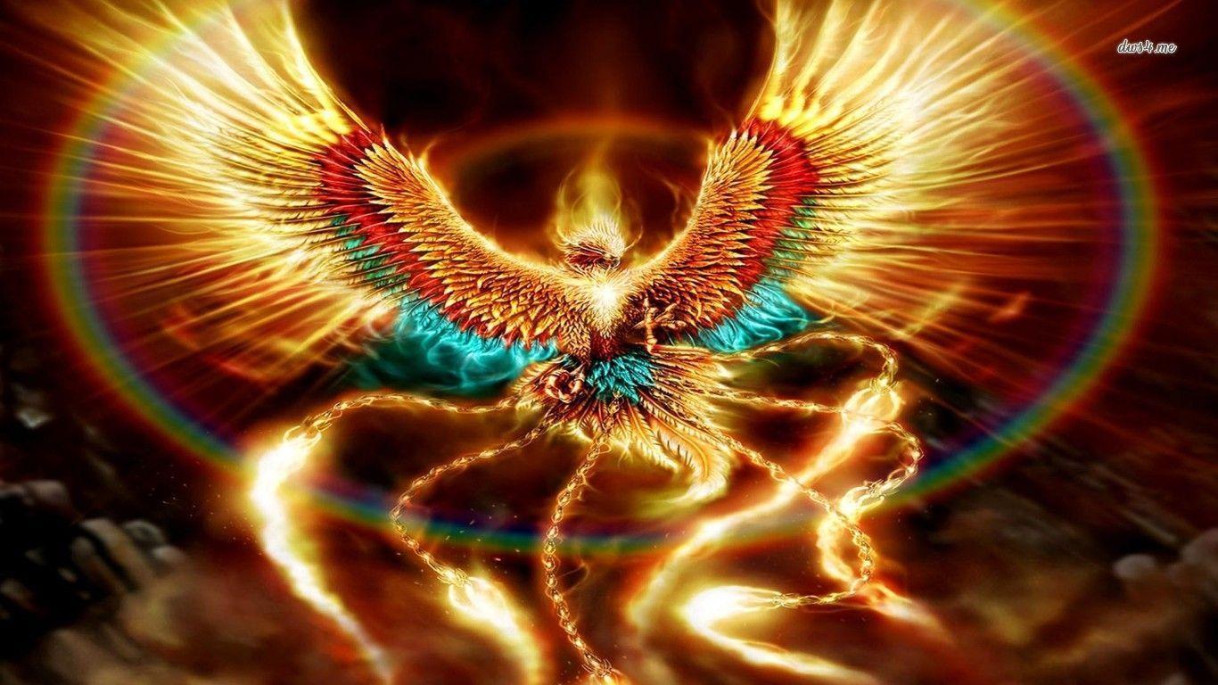 phoenix bird wallpaper