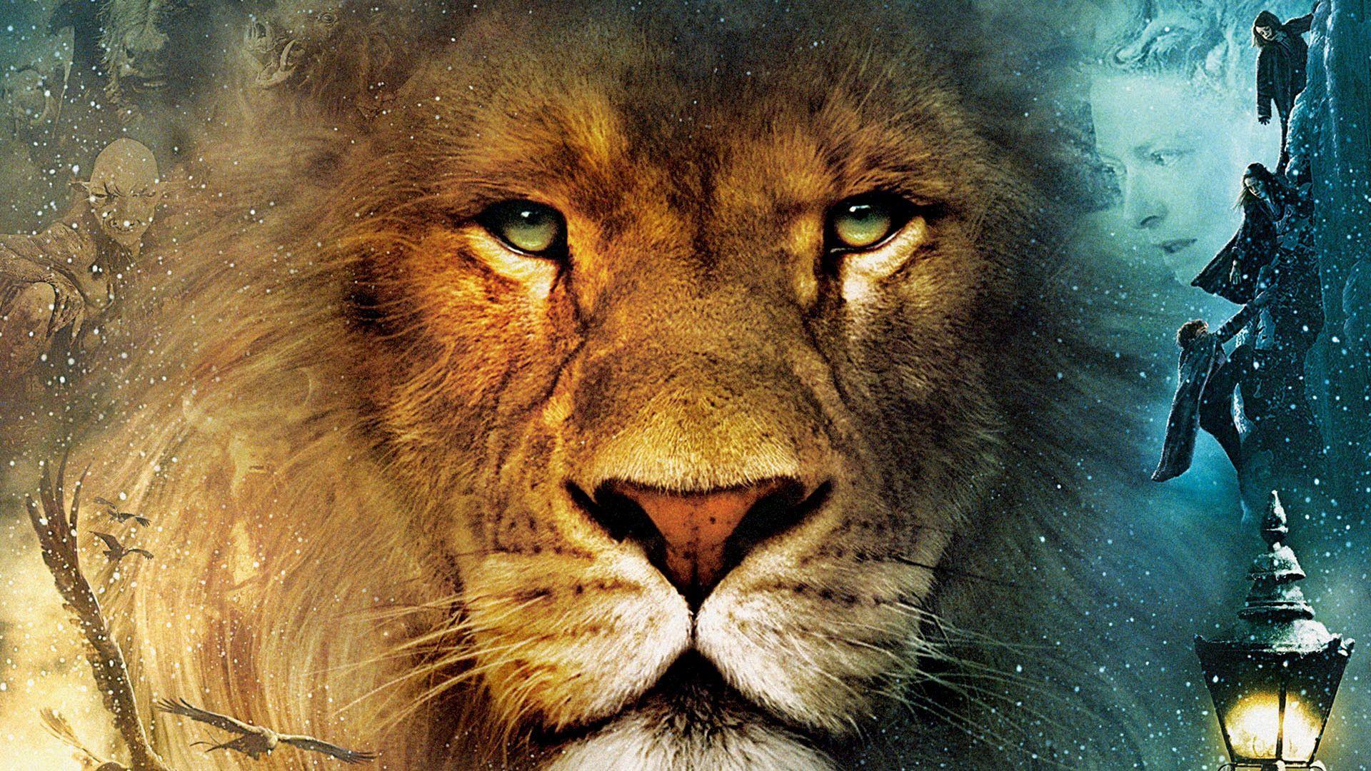 Pix For > Aslan The Lion Wallpaper