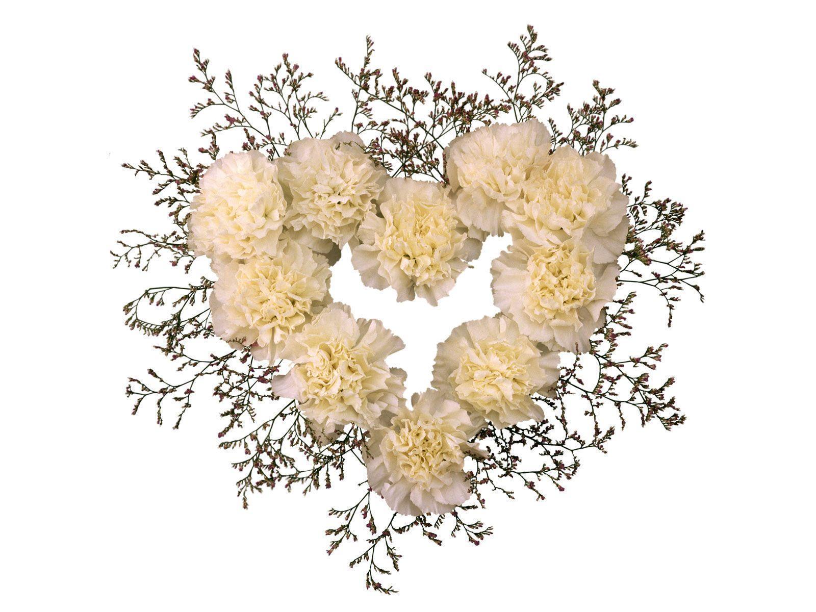 Free Love, Heart Shaped Flower Desktop Wallpaper Wallpaper