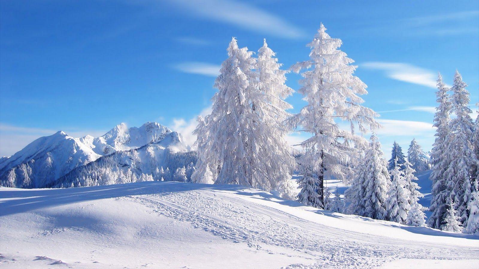 Winter Scenery HD Wallpaper. HD Wallpaper Again