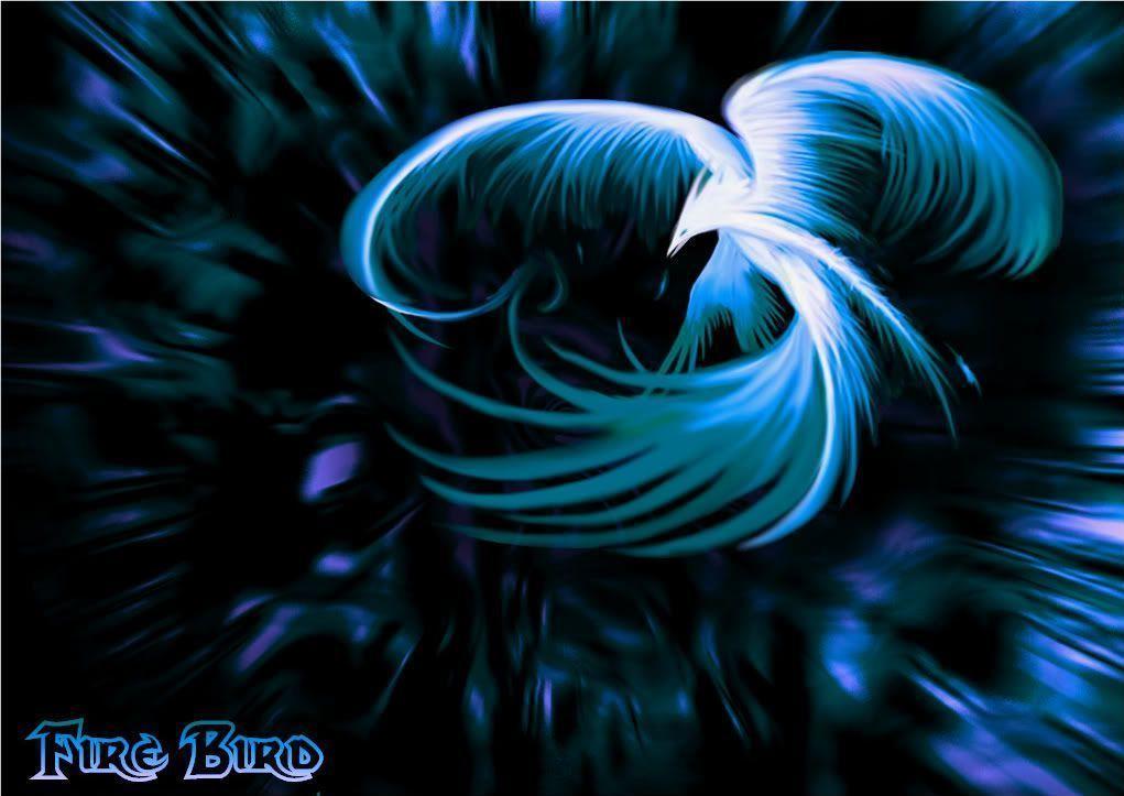 Blue Bird Wallpapers Wallpaper Cave