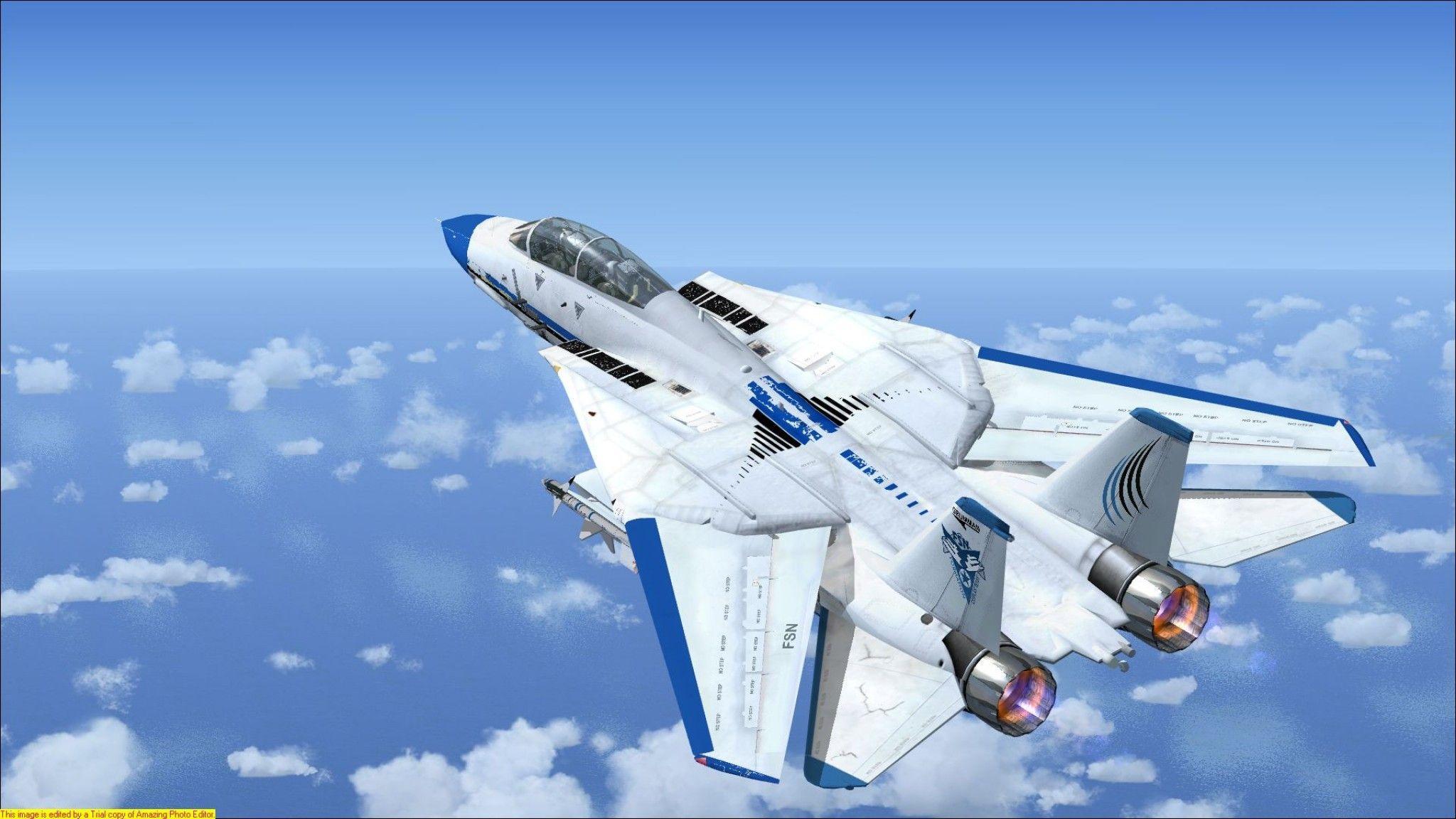 F 14 Tomcat FSX, burn, f- f military, sky. Free HD wallpaper