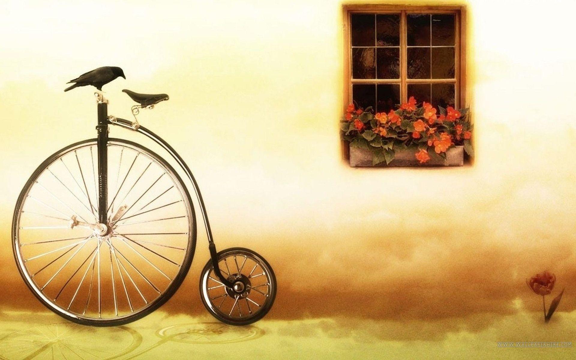 Special Bicycle HD Desktop Wallpaper, Desktop and mobile