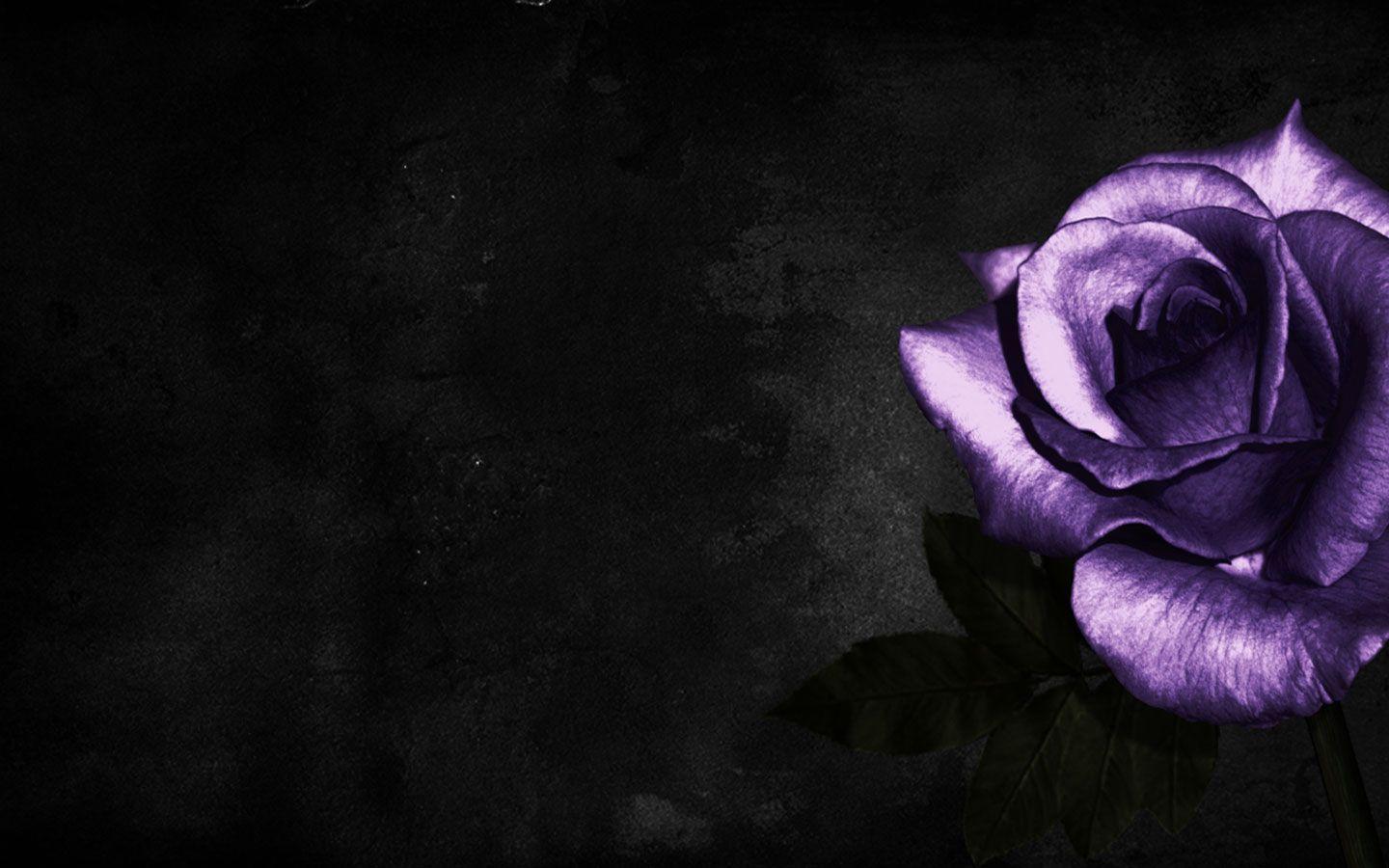Purple Background 77 216828 Image HD Wallpaper. Wallfoy.com
