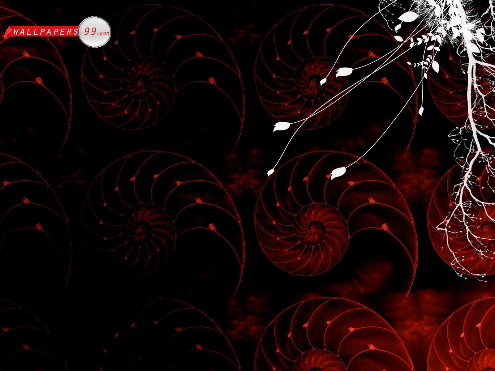Background Wallpaper Picture Image 1600x1200 2814