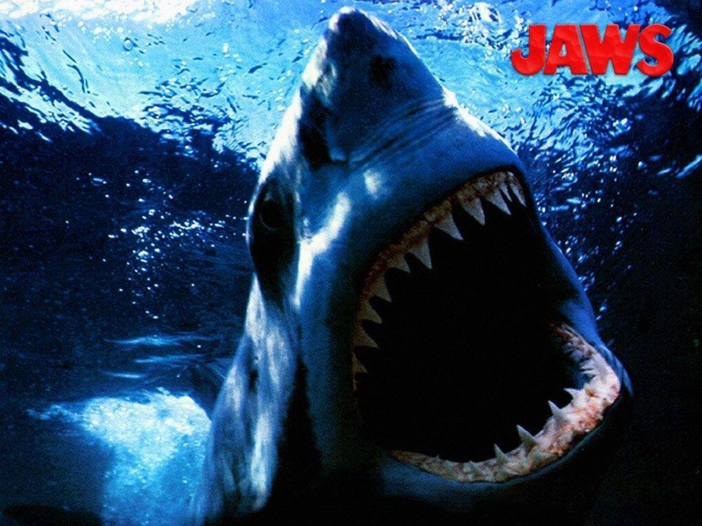 Jaws legends Wallpaper