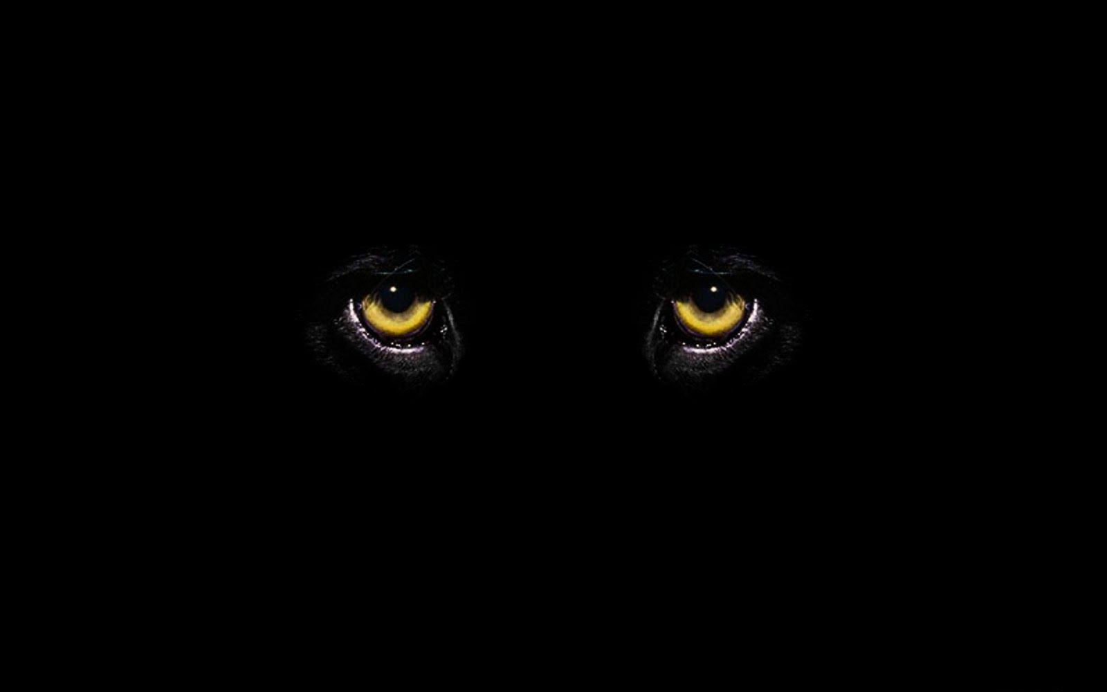 panther eyes