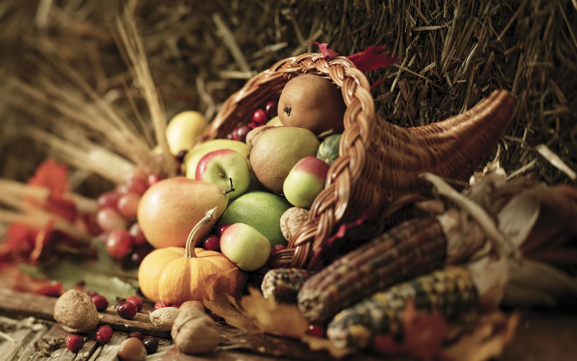 Fruits Of Thanksgiving Widescreen Wallpaper HD Background taken