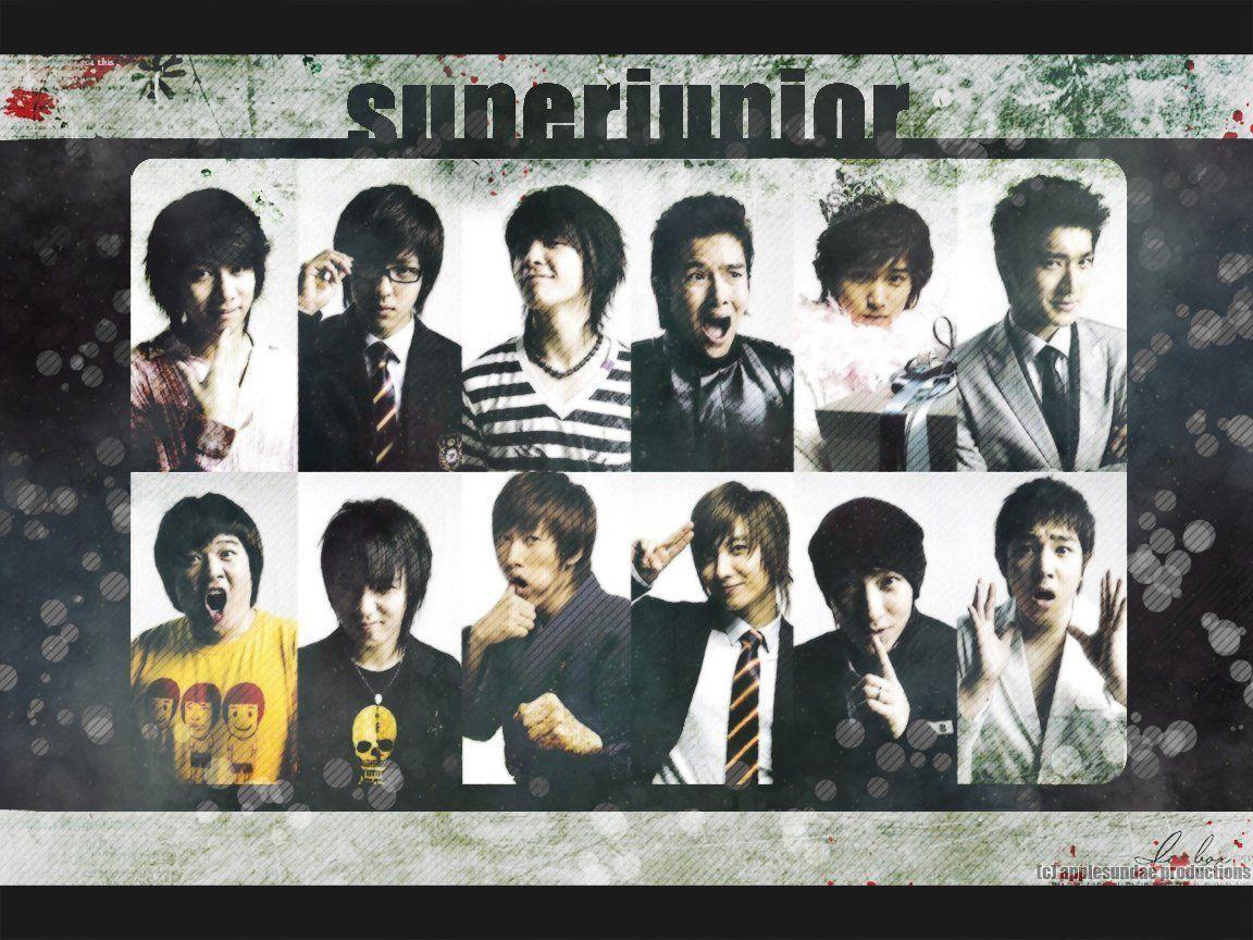 super junior Junior Wallpaper