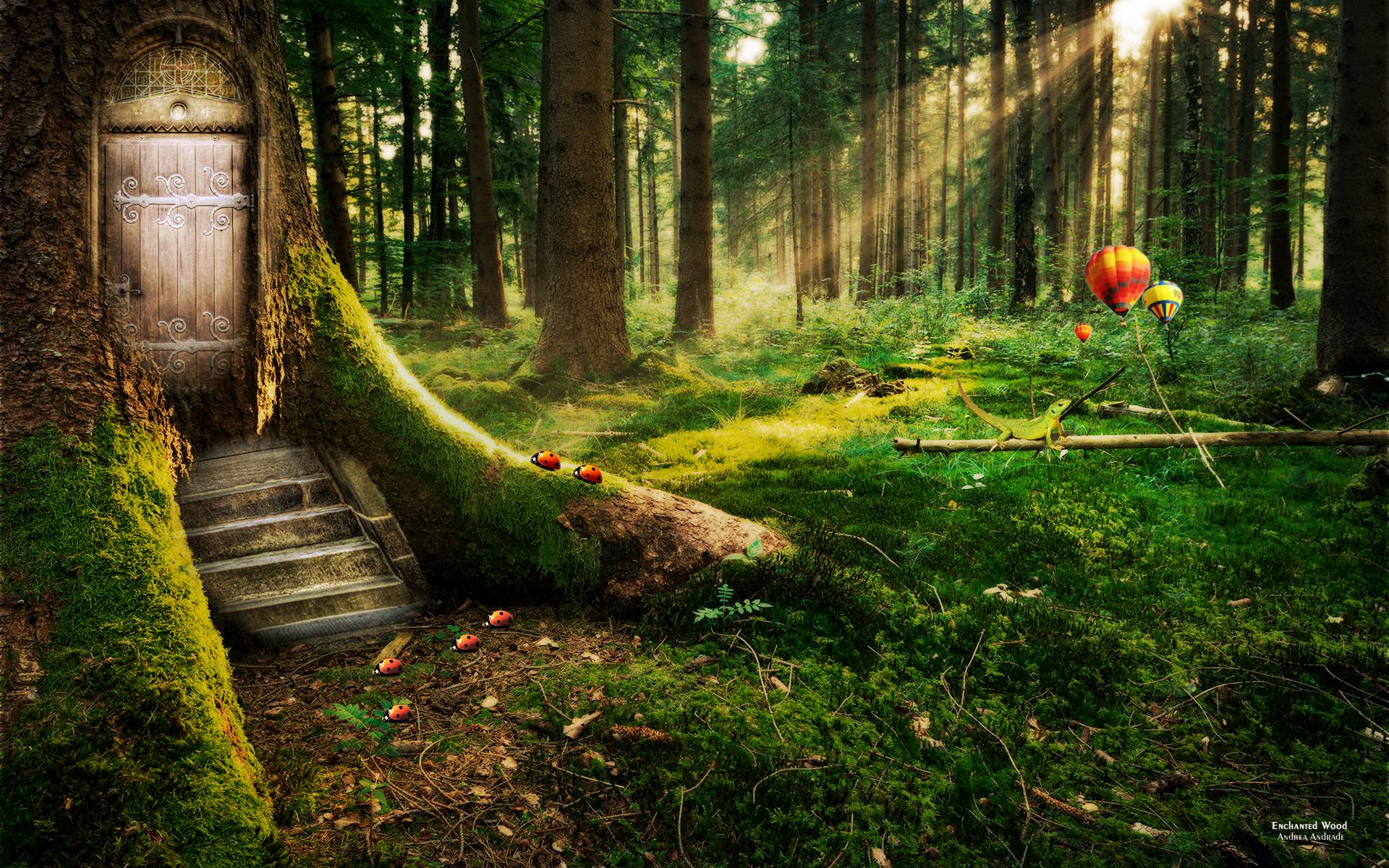 Enchanted Forest Backgrounds - Wallpaper Cave