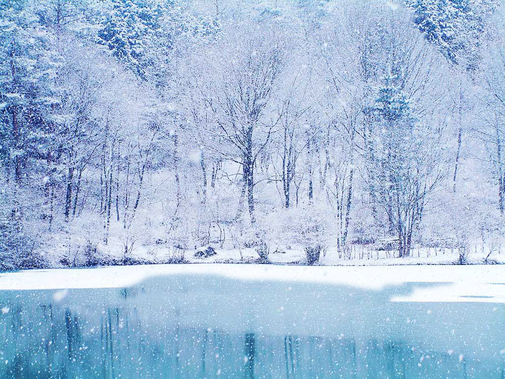 Winter Nature Backgrounds Wallpaper Cave