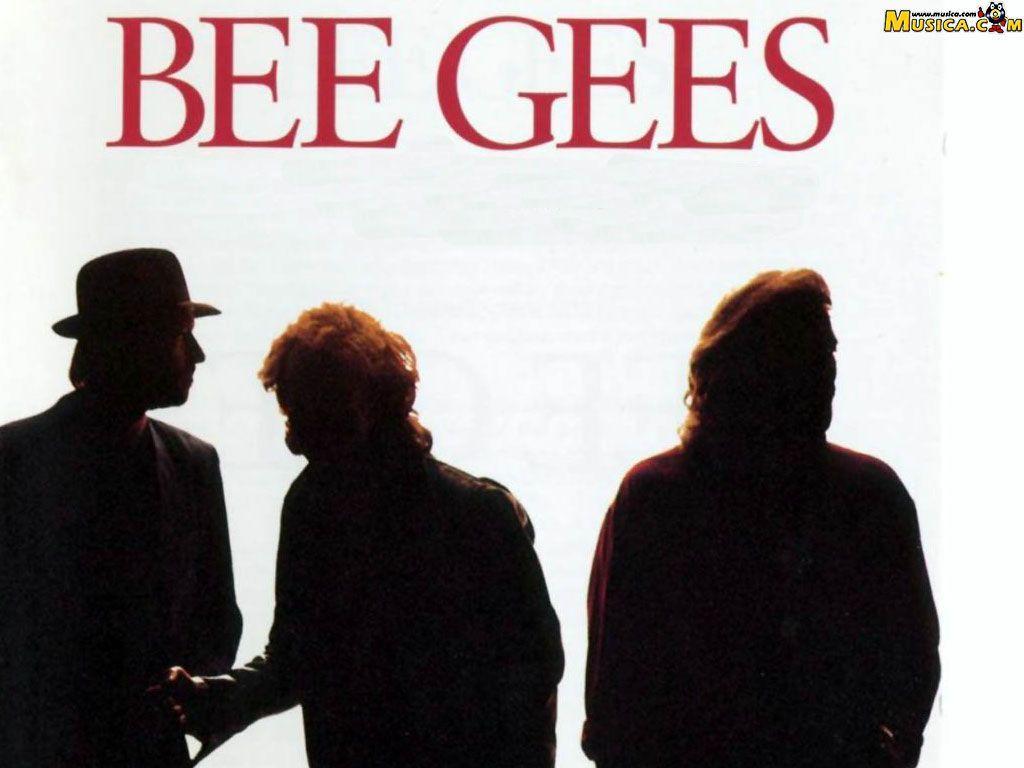 Wallpaper Bee Gees 1024x768 PC, Laptop or mobile cell phone desktop