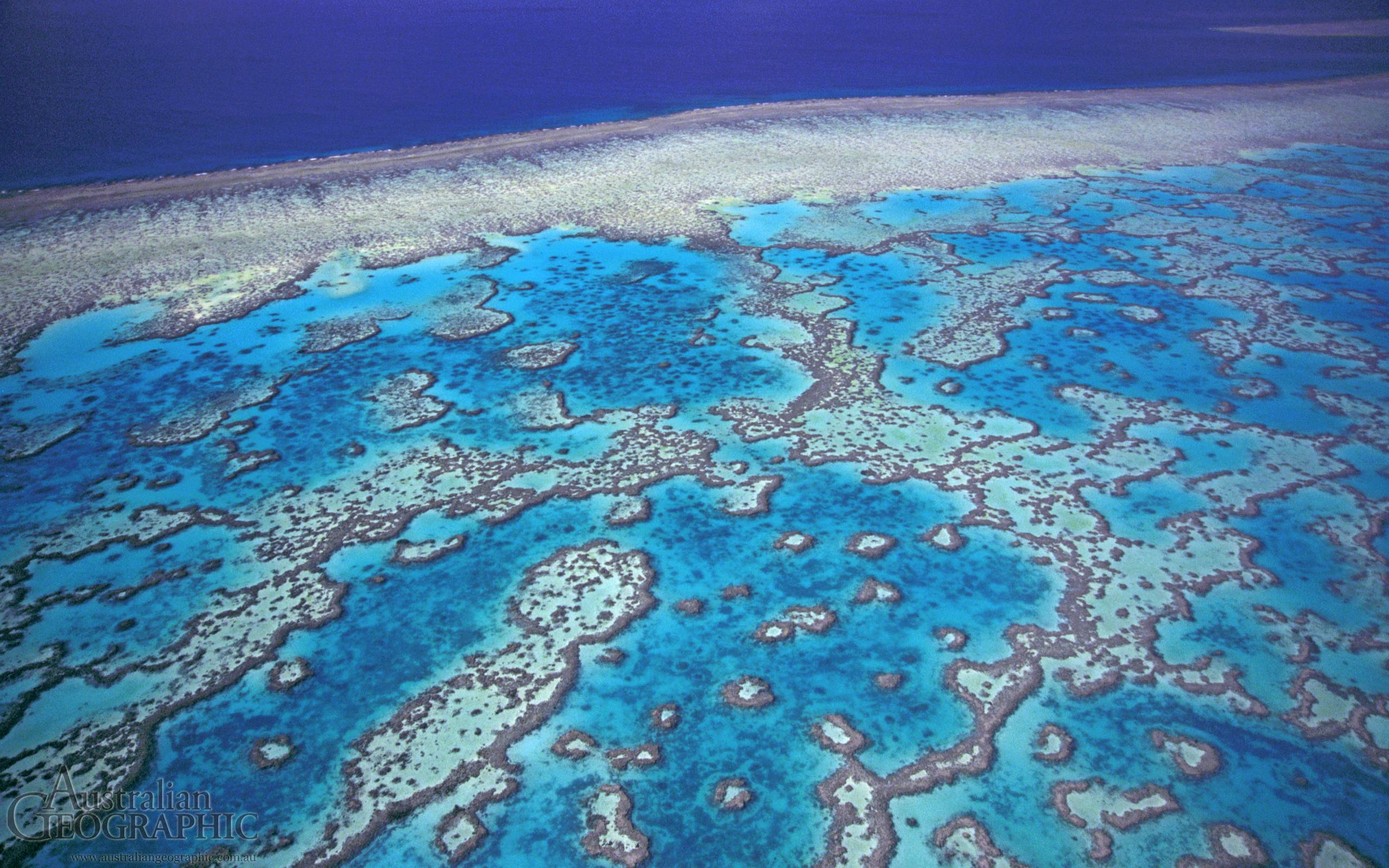 Great Barrier Reef Wallpapers - Wallpaper Cave